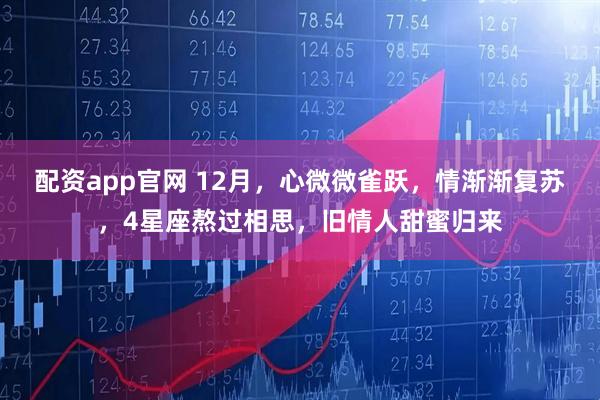 配资app官网 12月，心微微雀跃，情渐渐复苏，4星座熬过相思，旧情人甜蜜归来
