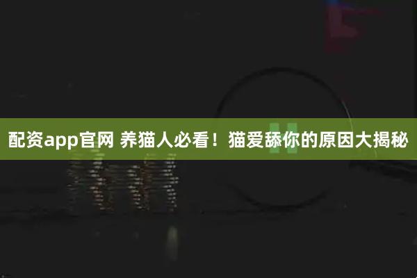 配资app官网 养猫人必看！猫爱舔你的原因大揭秘