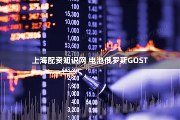 上海配资知识网 电池俄罗斯GOST